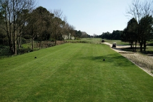 golf knokke