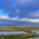 Storm in het Zwin