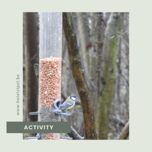 Bird counting weekend