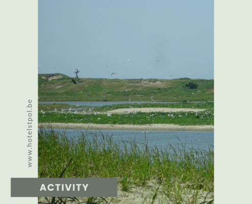 weekendwandelingen zinvlakte