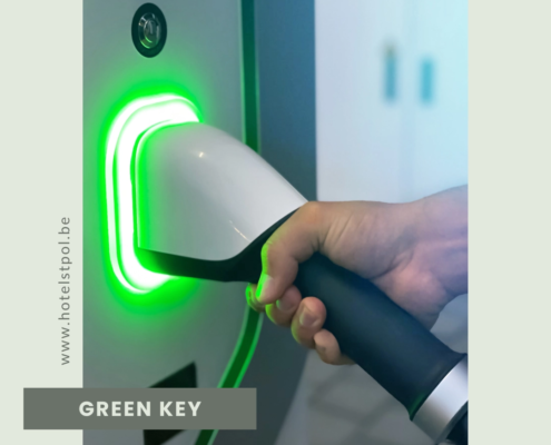 "Laadpalen Elektrische Auto’s" 1 laadpalen elektrischeauto
