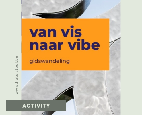 Gidsenwandeling van Vis naar Vibe