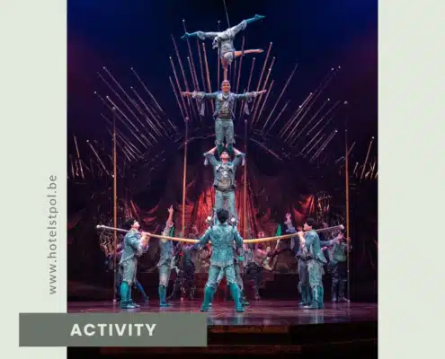 cirquedusoleilalegria