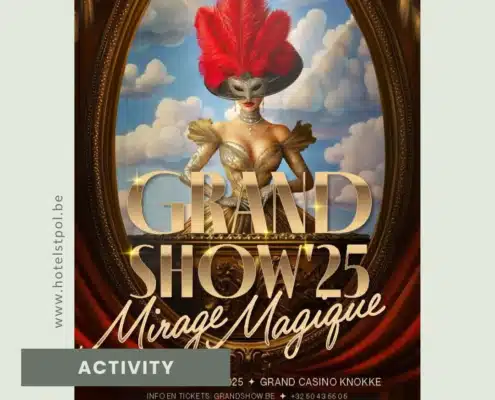 Grand Show Mirage Magique