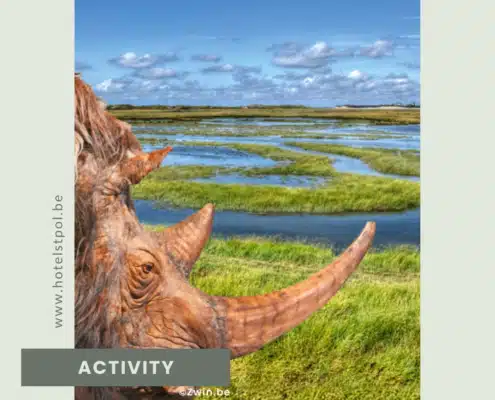 Prehistorische werktuigen en mammoetkiezen uit de Doggerland-tentoonstelling in het Zwin Natuur Park
